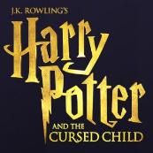 Harry Potter And The Cursed Child US