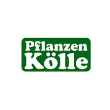 Pflanzen Kolle